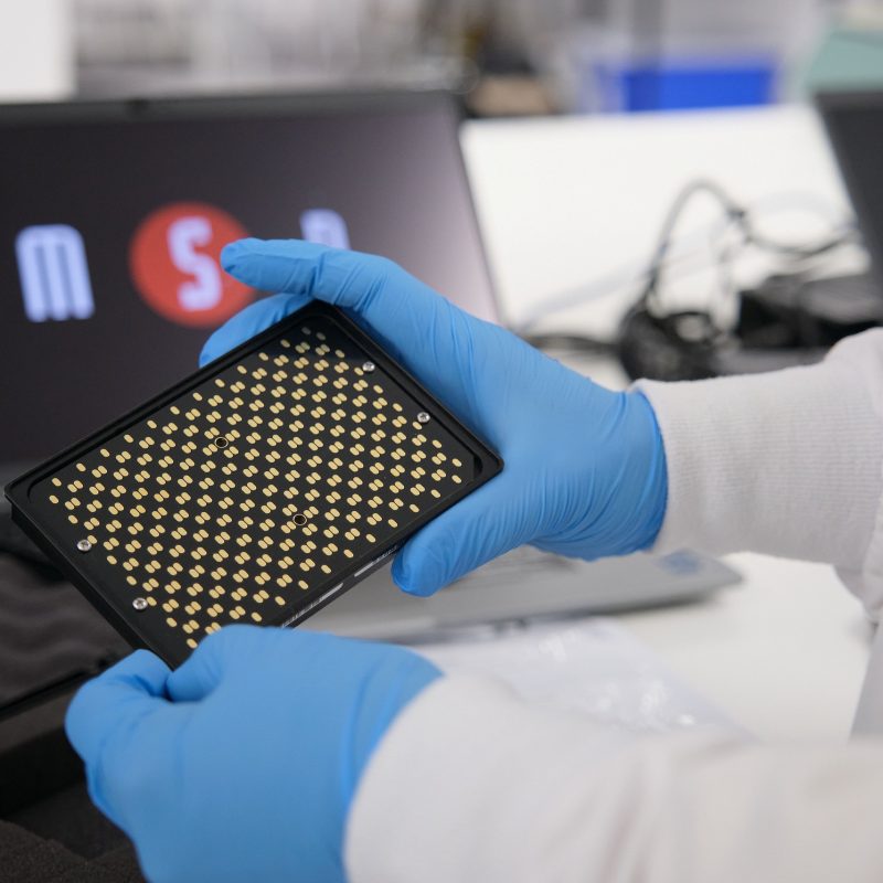 The Importance of Measuring Immune Responses to Biologics