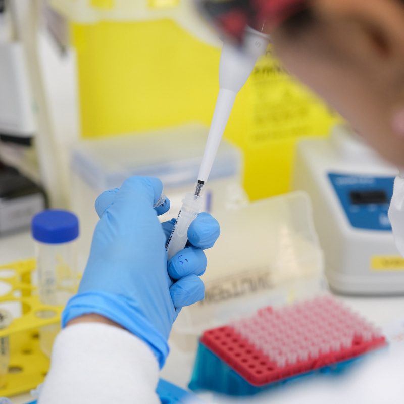 Assay Development for Measuring Biomarkers: Tailored Solutions for Your Research Needs